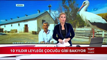10 Yıldır Leyleğe Çocuğu Gibi Bakıyor
