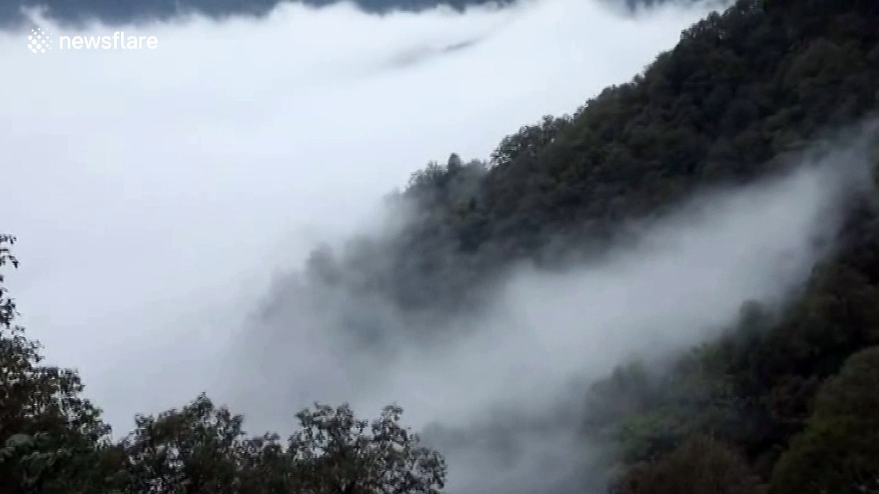 Stunning 'sea of clouds' coat northern China's Mount Li