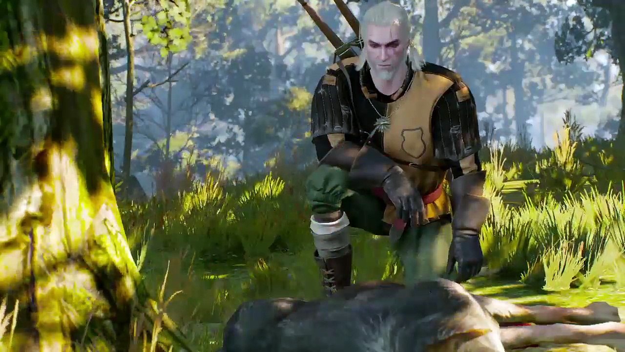 DonAleszandro The Witcher 3 «-Kopfgeldaufträge mit dem Hexer Geralt-» (78)