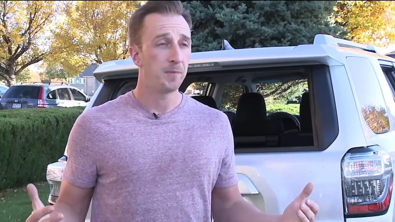 Dogs Reunited with Owner After Being Taken in Stolen Vehicle