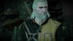 DonAleszandro The Witcher 3 «-Kopfgeldaufträge mit dem Hexer Geralt-» (79)