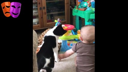 Video de Gatos consintiendo a sus humanos 2017