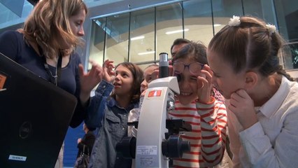 Diabète: le pancréas au microscope