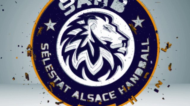 HANDBALL PROLIGUE : SAHB - Chartres