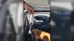 Eskişehir Otomobildeki Uyuşturucuyu Narkotik Köpeği 'Leydi' Buldu