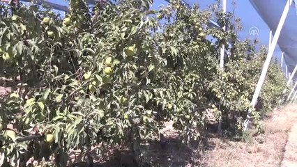 Fakıbaba: "Biz Zengin Toprakların Zengin Çocukları Olacağız"