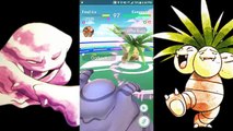 Pokémon GO Gym Battles Level 5 Gym Espeon Umbreon Tyranitar Blissey Shiny Gyarados & more
