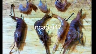 DIY - Fishing Tips - 7 Ways Hook Dead shrimp on the Fish Hooks- 7 Cách Móc Tôm Chết