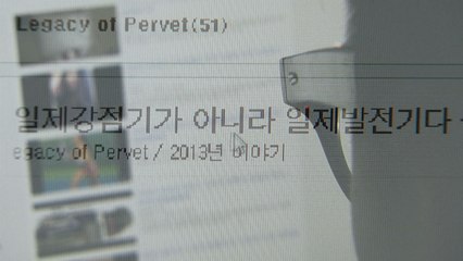 [단독]차별·비하 인터넷 게시글 심의 '들쭉날쭉' / YTN