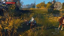 The Witcher 3 Wild Hunt на ноутбуке asus intel i3, gpu 840m | The Witcher 3 intel i3, gpu 840m