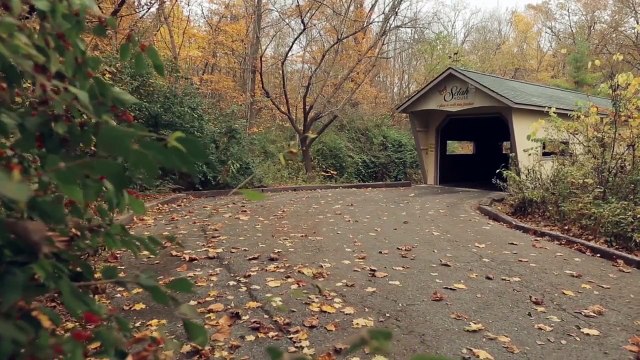 Selah House - Treatment Center for Eating Disorders