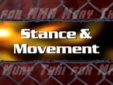 Muay Thai training for MMA - Vol. 1 Boxing Basics Full Compilation