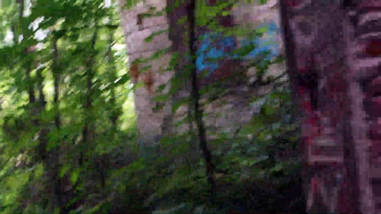 Wolfskuhlen 2 ( Horror Lost Places )