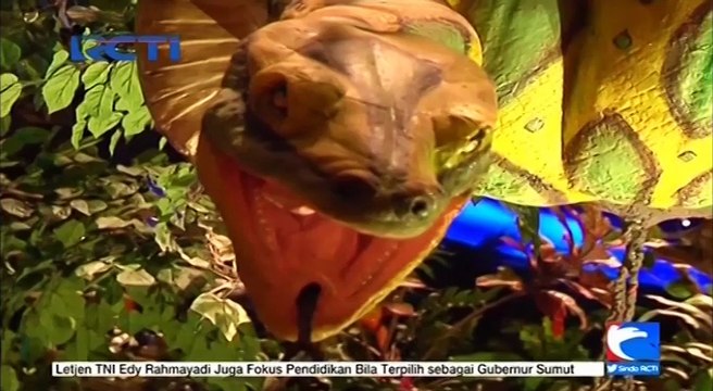 Makan Seru di Tengah Hutan Belantara