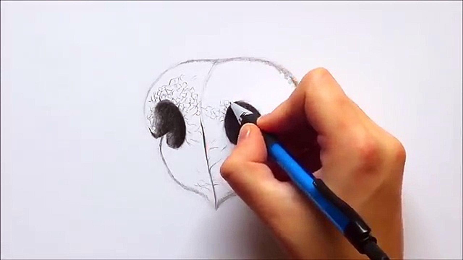 Featured image of post How To Draw A Realistic Dog : She explains the general shape of feathers and their features that you need all in all, drawing realistic pets from photographs provides a solid foundation and excellent instruction.