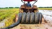 Terrifying!!! Three Kids Catch Biggest Snakes Nearby My Tractor While Ploughing The Fields