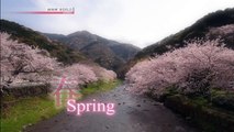 Spring Journey in Izu, Mt Fuji - CYCLE AROUND JAPAN - Video On Demand - NHK WORLD - English