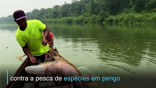 Guardiões locais da Amazônia brasileira