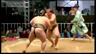 【ニコニコ超会議3】相撲巡業 「初切(しょっきり)」