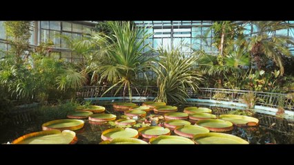 Kate Linn - Your Love (Music Video)