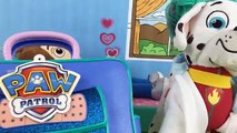 Patrulla canina juguetes español INYECCIÓN PAW PATROL PARA RYDER ENFERMO