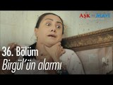 Birgül'ün alarmı - Aşk ve Mavi 36. Bölüm