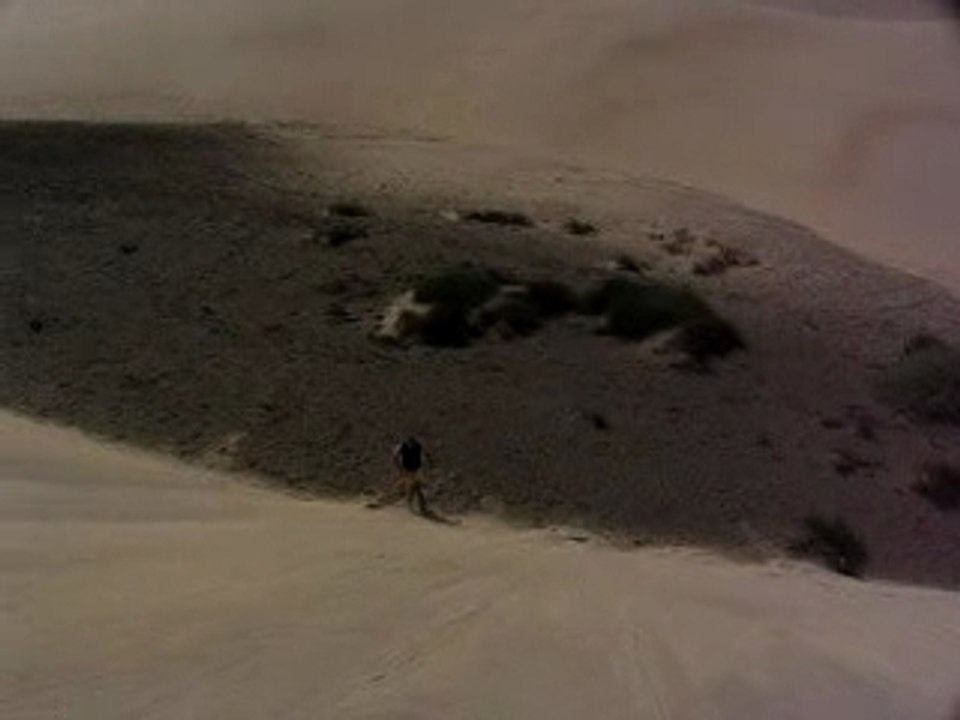 Las palmas 078