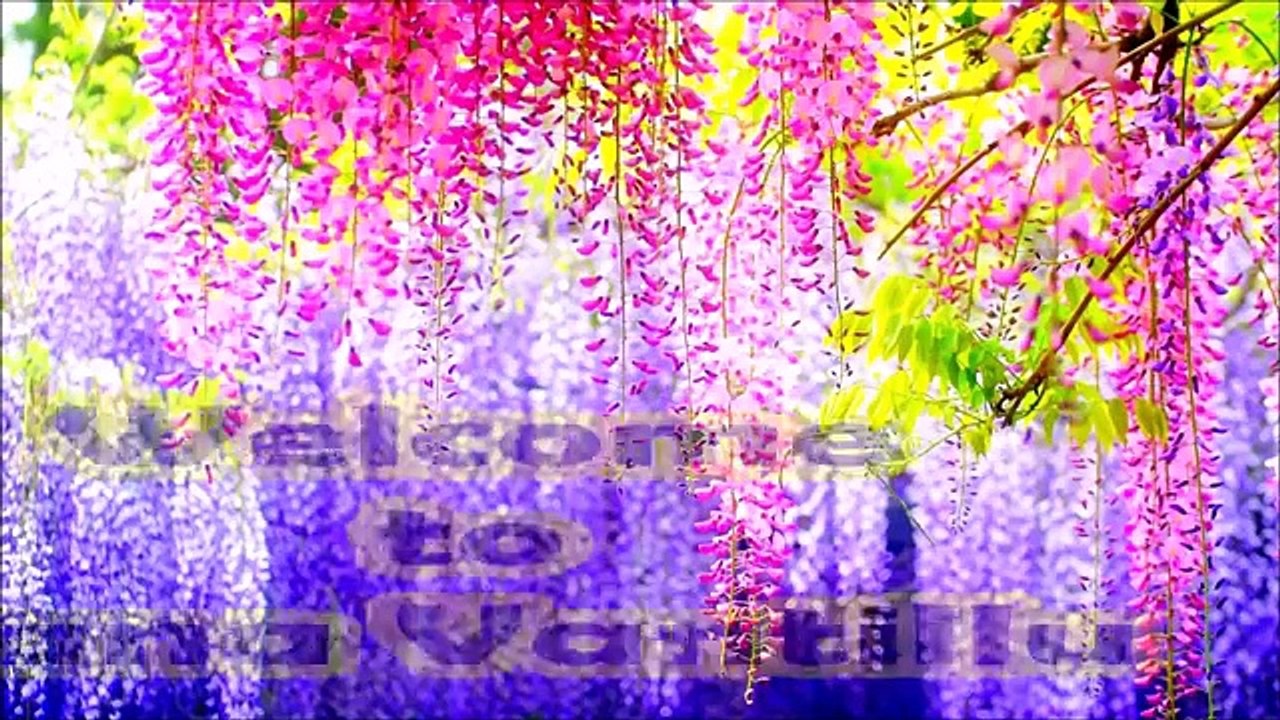 Egg Manchurian Recipe