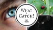 What a Catch! - Part 20 (A Miraculous Ladybug Fanfiction)