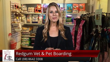 Redgum Vet & Pet Boarding Port Augusta Exceptional Five Star Review by Kim Killick