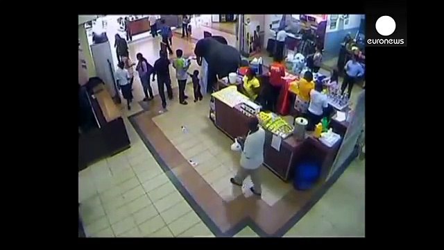GRAPHIC - Full video of Nairobi mall massacre reveals terror, gunmen shooting shoppers-FM4Ywx5zVgE