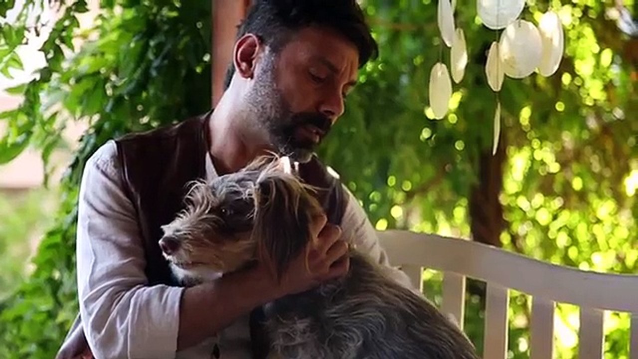 Bülent Cenkçi - Duvar