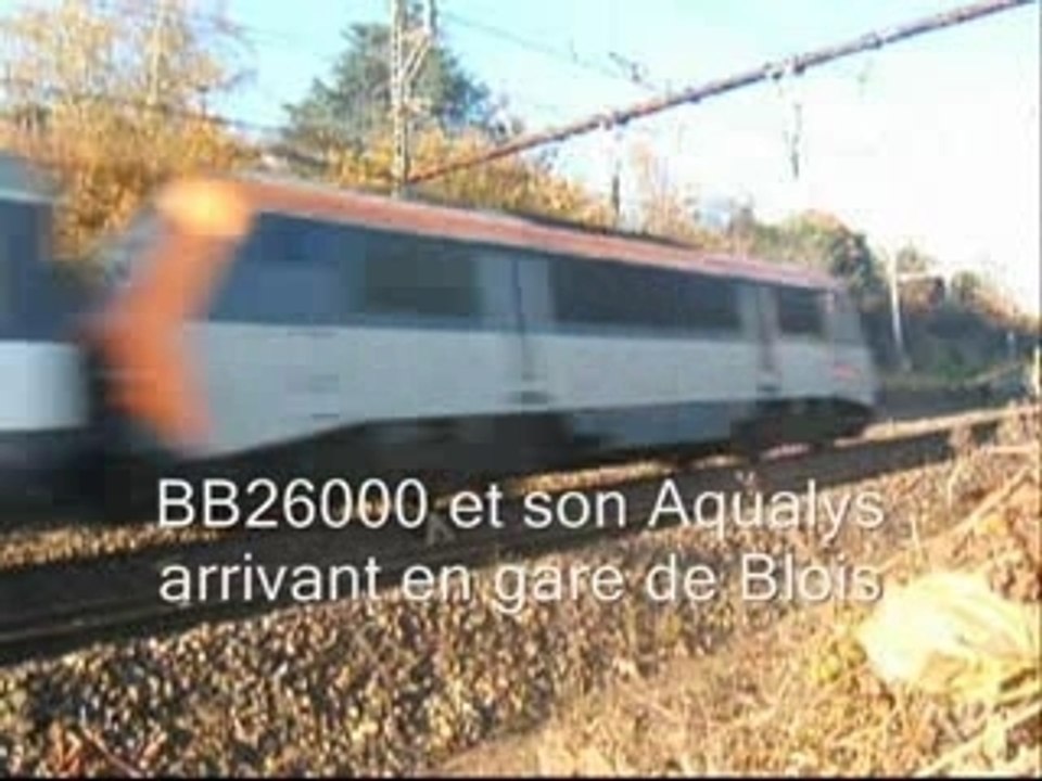 Un après-midi de Spot
