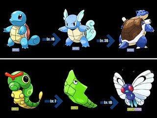 Pokémon: How to Evolve - All Evolution Lines (Generation 1-5)*