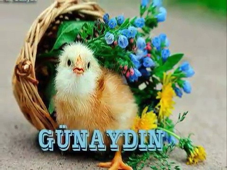 Gunaydın...