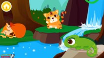 Baby Learn Animal: Traits and Behaviors - Learning game for baby