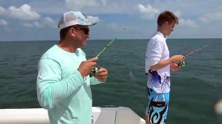 Snapper Grouper Mackerel TINY ROD! Catch Clean Cook!!! in the Florida Keys