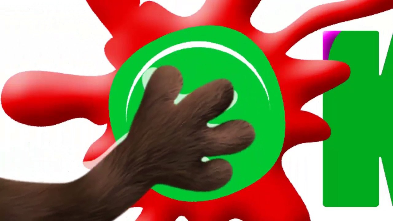 Talking Tom and Friends Colors Reaction Compilation Cat and Dog Animals Funny Videos With Kids 1 tv