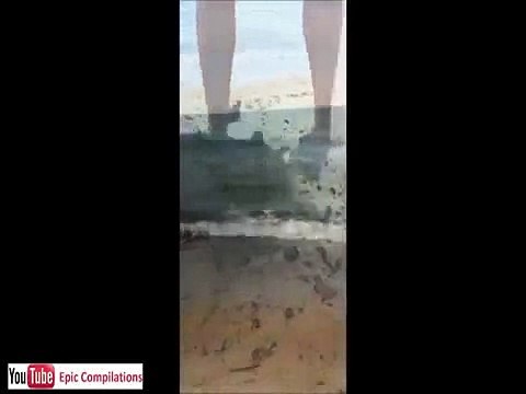 Funny cats, cute cats, funny dogs, funny animals funniest videos17