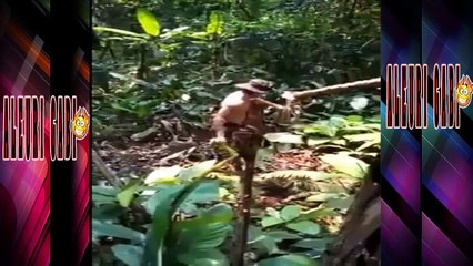 Videos graciosos que me pasaron por Whatsapp