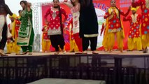 Best Hot Dance on Stage By Orchestra Girls __ Tanu Brar Group