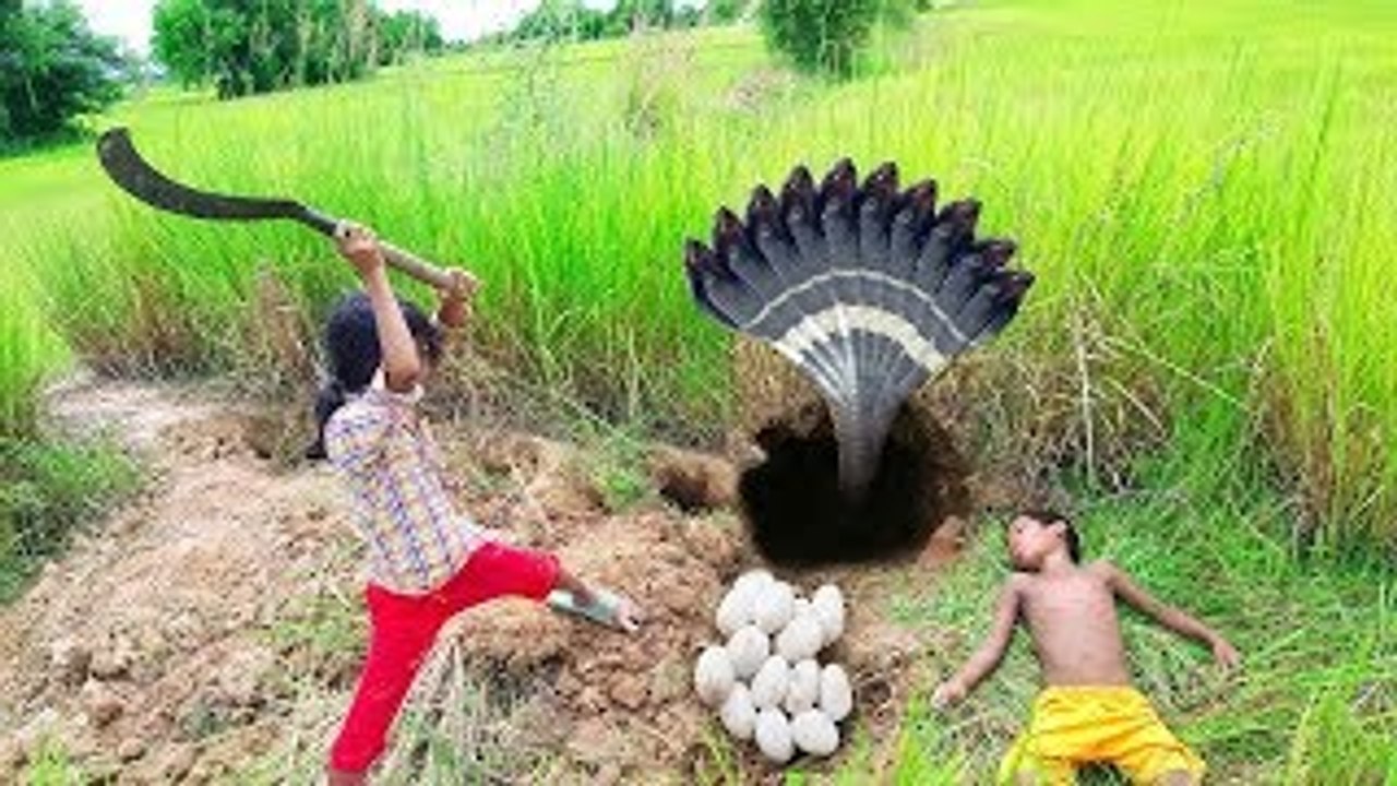 Öps!!! Poor Little Kids Catch Farm Snakes For Selling