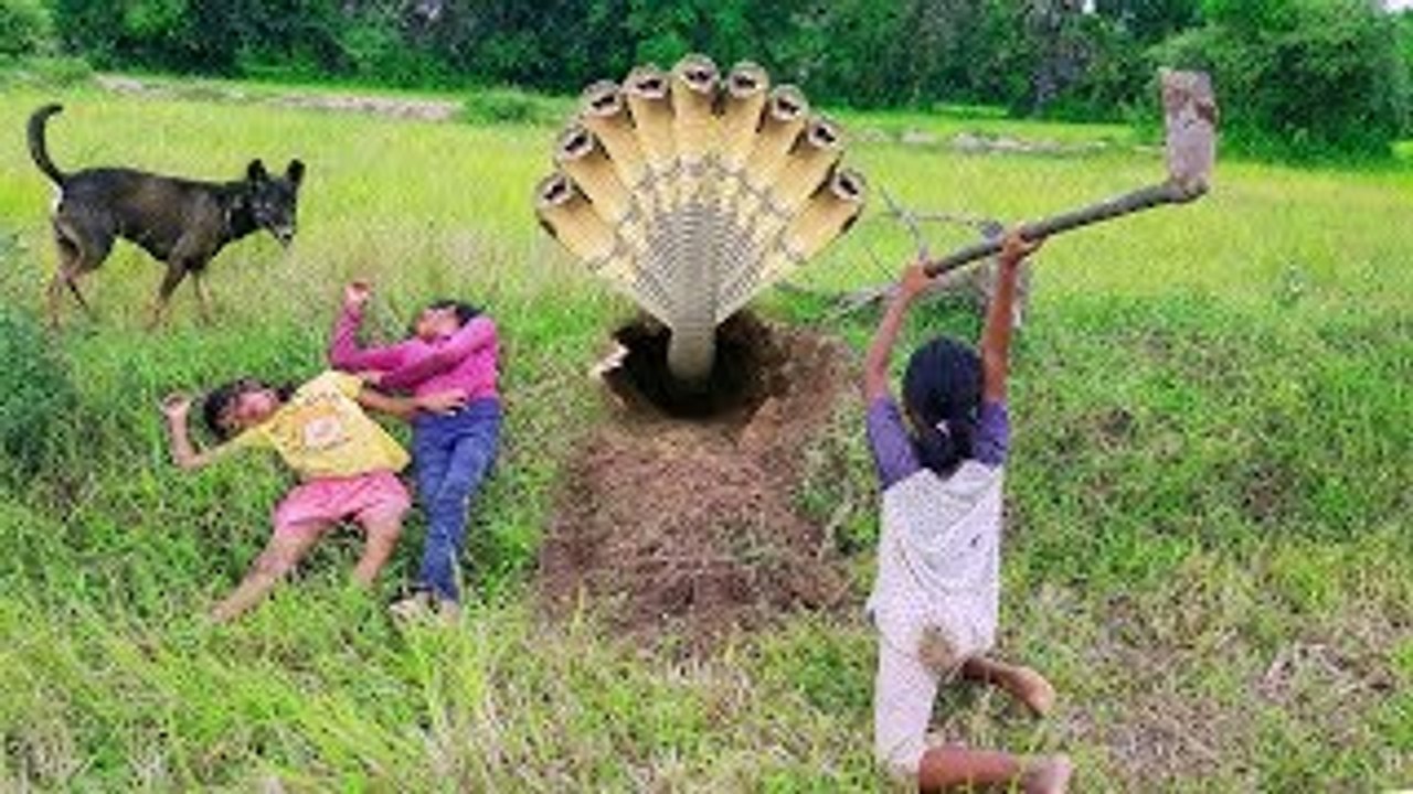 Terrifying!! Three Sisters Dig Hole Catch Snakes For Food Nearby Their House