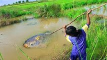 Amazing Girls Trap Fish and Snakes With Bamboo Trap - How To Catch Fish With Traditional T