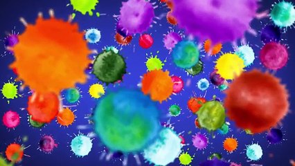 LUDO OTKRIĆE O PLAVIM OČIMA Ako ih imate, ovo će vas oduševiti