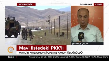 Mavi listedeki PKK'lı terörist