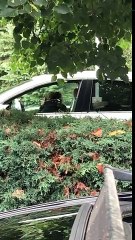 "YOUR PENIS IS TOO SMALL!".