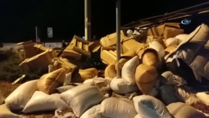 Kamyon Devrildi Tonlarca Fındık Yola Saçıldı