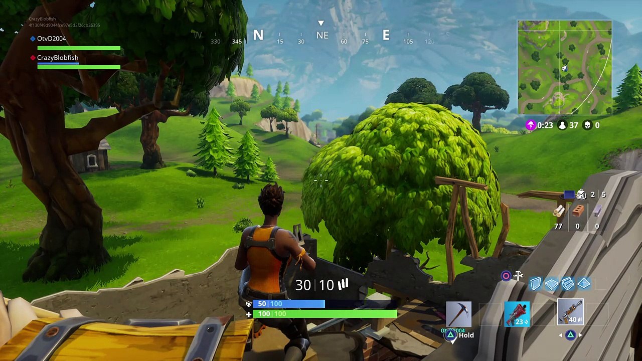 Fortnite win