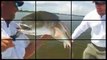 Awesome Amazing Fishing - Beast Fishing Monster of the Deep - Spectacular Fort Myers Fishing Trips